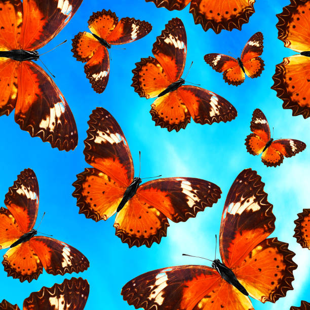 istock Seamless pattern with colorful butterflies against blue sky 1151287357