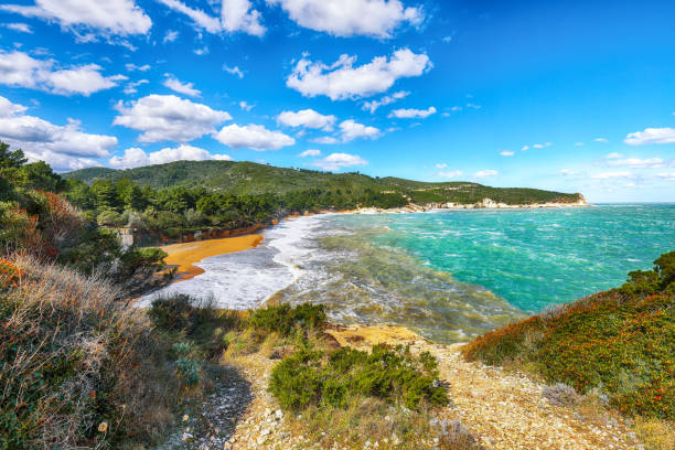 istock the coastline of Vieste 1151290476
