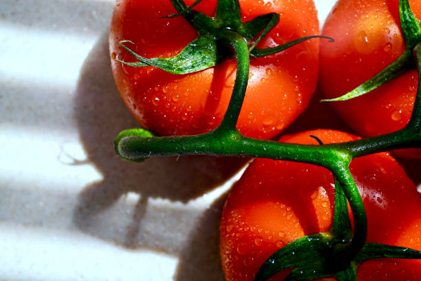 istock Red of Tomato 1151290737