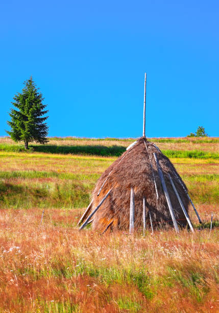 istock Scene in Rogojel village 1151293399
