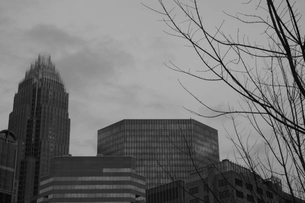 istock Skyline View From Romare Bearden Park In Black And White 1151298534