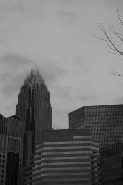 istock Skyline View From Romare Bearden Park In Black And White 1151298538