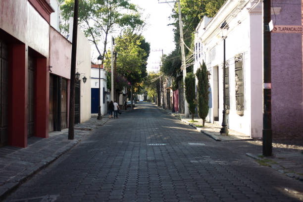 Traditional cobblestone street in Coyoacan stock photo