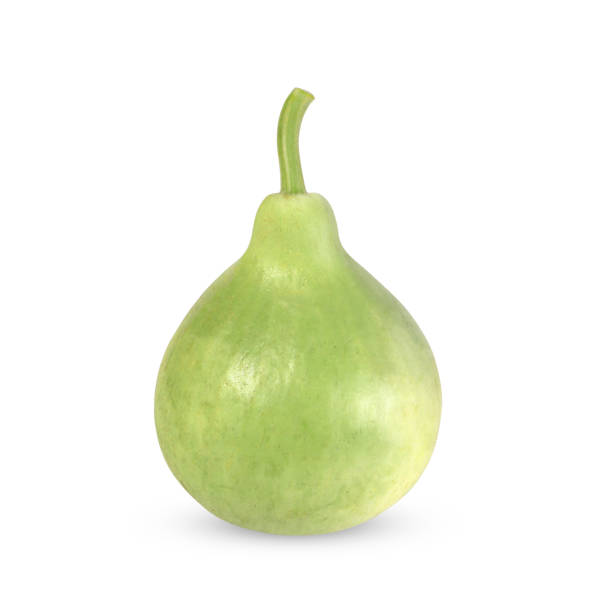 istock Calabash, Bottle Gourd isolated on white background 1151300472