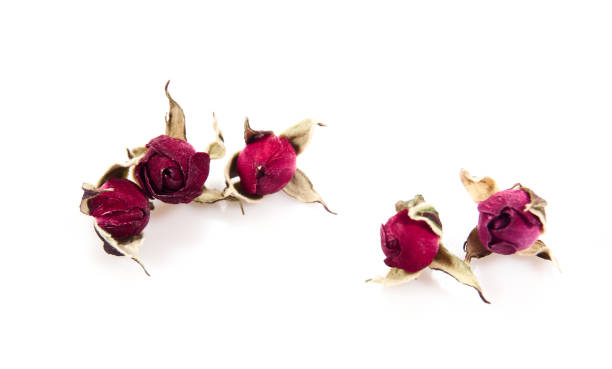 istock Many dry buds of rose flower for tea 1151303733