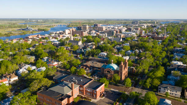 Green Leaves Out Springtime Aerial View Downtown City Center Wilmington North Carolina – Foto