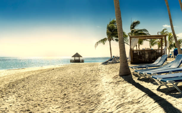 concept de la plage tropicale. caraïbes - jamaican culture photos et images de collection