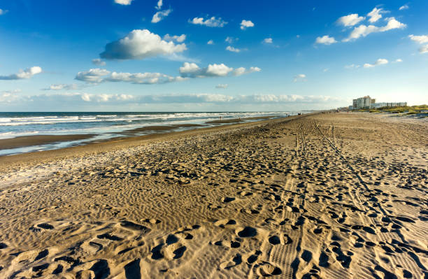 istock Cocoa beach, Florida, USA. 1151307536