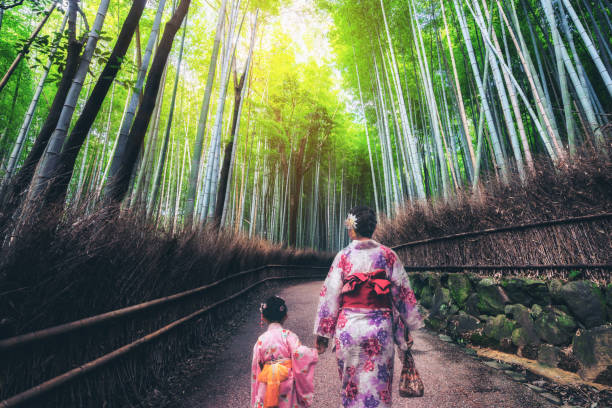 podróżnik w: bamboo forest grove, kioto, japonia - sagano zdjęcia i obrazy z banku zdjęć