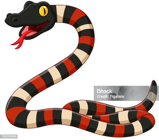 Cartoon Coral Snake On White Background Stock Illustration - Download Image  Now - Snake, Tongue, Cartoon - iStock