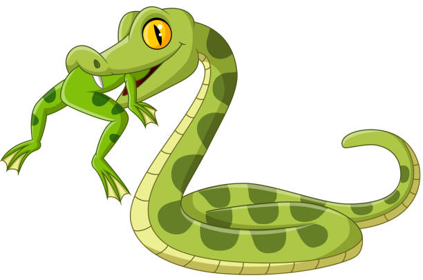 illustrations, cliparts, dessins animés et icônes de serpent vert de dessin animé mangeant une grenouille - frog animal tongue animal eating