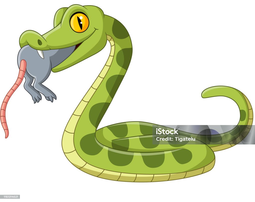 Ilustración de Serpiente Verde De Dibujos Animados Comiendo Un Ratón y más  Vectores Libres de Derechos de Animales cazando - iStock