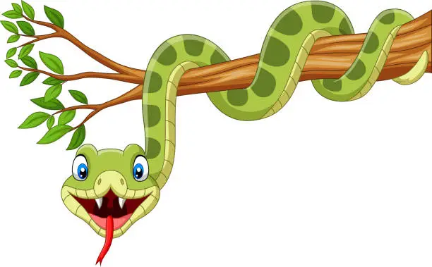 Vector illustration of Cartoon green snake on tree branch