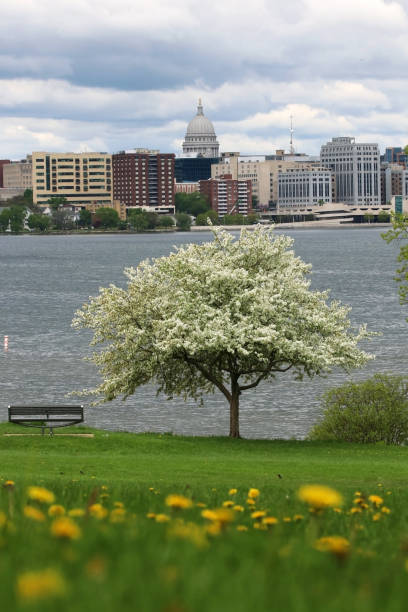 istock Madison downtown skyline with Wisconsin State Capitol building dome. 1151314104