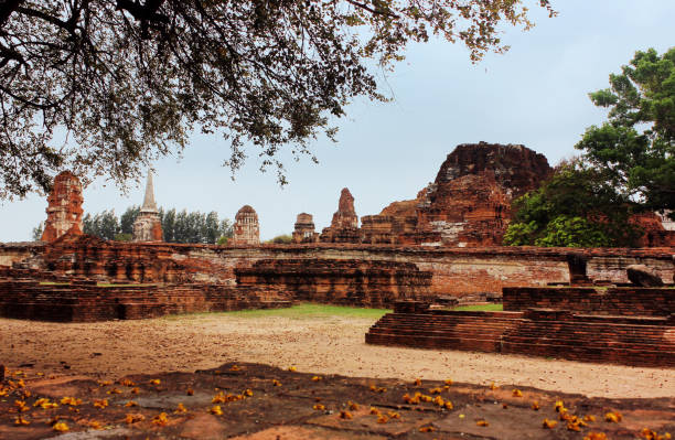 wat phra sri sanphet, ancien temple dans l’ancien palais royal de la capitale ayutthaya, thaïlande. - sanphet palace photos et images de collection