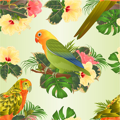 Seamless texture bird Sun Conure Parrot and lovebird Agapornis home pets parakeet  on a branch bouquet with tropical flowers hibiscus, palm,philodendron  vintage vector illustration editable