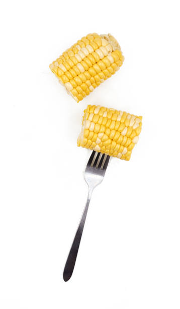 istock Female hand holding  corn on a white   background 1151320273
