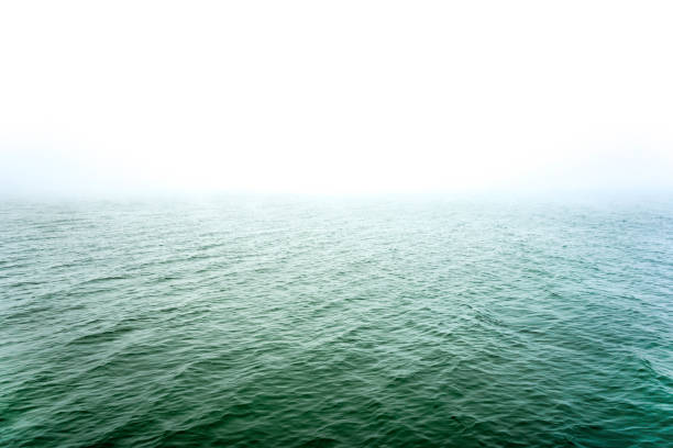 istock nature after rain. misty morning 1151324834