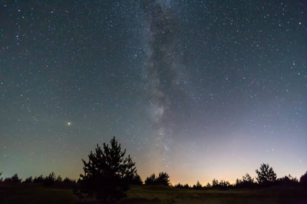 istock beautiful night landscape, pine tree among the prairie under the starry sky 1151325695