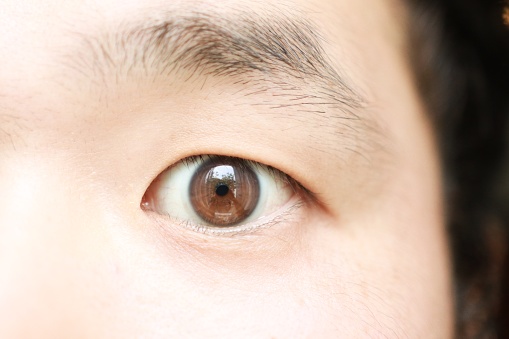 Dark brown eyes of asian man