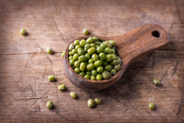 feijões de mung em uma bacia - mung bean - fotografias e filmes do acervo