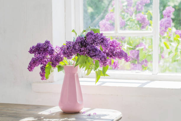 istock lilac in vase against the window on a sunny day 1151335903