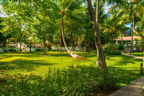 istock Park with tropical green trees, palm trees 1151358260