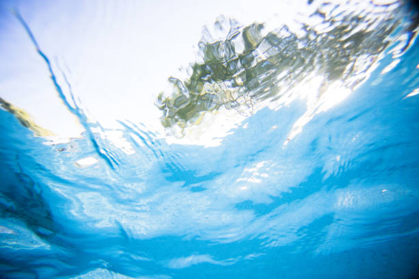 istock Underwater image of a swimming Pool 1151358716