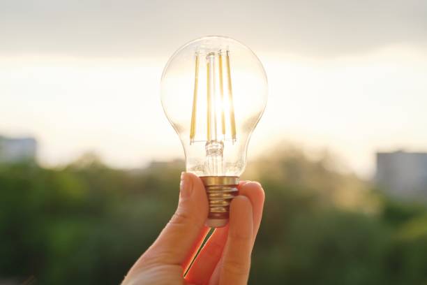 istock Filament led lightbulbs, hand holding lamp, evening sunset sky background 1151360456