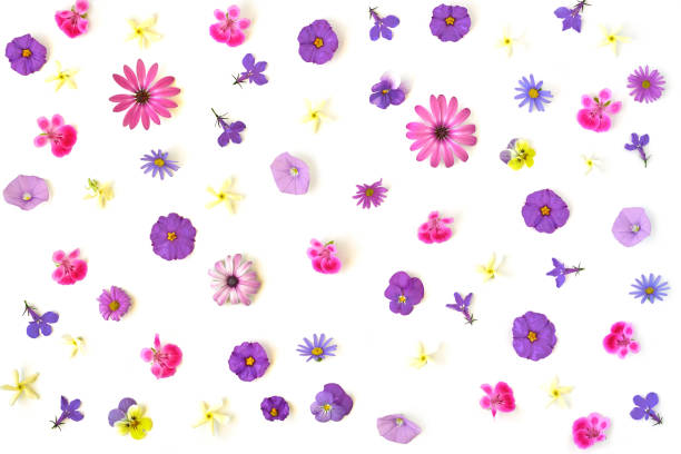 istock Flowers composition. Pattern made of colorful flowers on white background. Flat lay, top view 1151365247