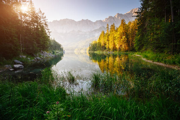 immagine magica del famoso lago eibsee. località resort garmisch-partenkirchen, alp bavarese, visite turistiche europa. - zugspitze mountain mountain summer european alps foto e immagini stock