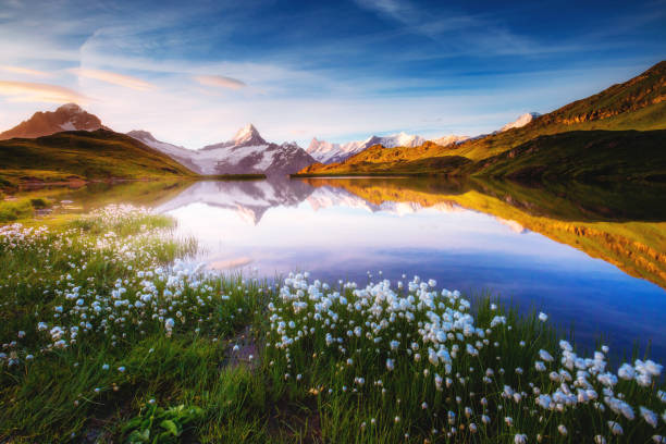 scena accattivante del massiccio roccioso innevato. posizione bachalpsee nelle alpi svizzere, grindelwald, oberland bernese, europa. - summer bernese oberland mountain range mountain foto e immagini stock