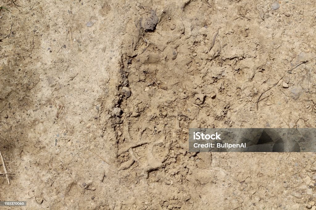 Hard Solid Texture Hard Solid Dirt Texture Stock Photo - Download Image Now - Aging ...