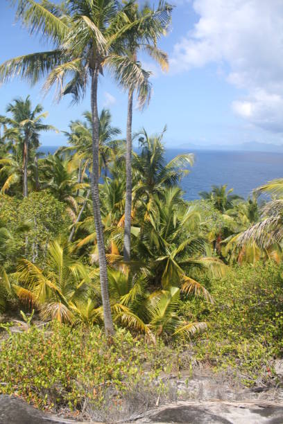 istock seychelles private island beach 1151372558