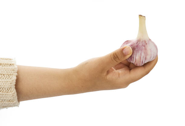 istock Female hand holding Garlic on a white background 1151379157