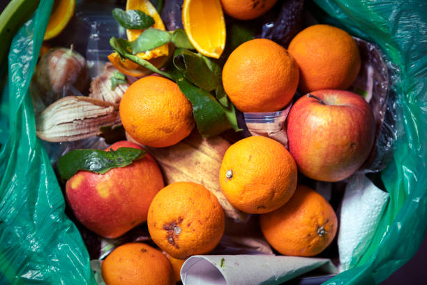 Food waste problem, leftovers Thrown into into the trash can. Spoiled food in refuse bin. Spoiled oranges and apples close up. Ecological issues. Garbage. Concept of food waste reduction. From above. Remains of half rotten food and another rubbish in waste basket.
Putrid fruit. Oranges and apples. Consumerism. loss stock pictures, royalty-free photos & images