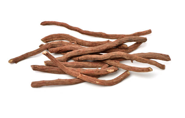 istock Red Sage Root（Salvia miltiorrhiza Bge） 1151382994
