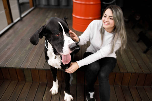istock Young woman relaxing with her dog 1151383296