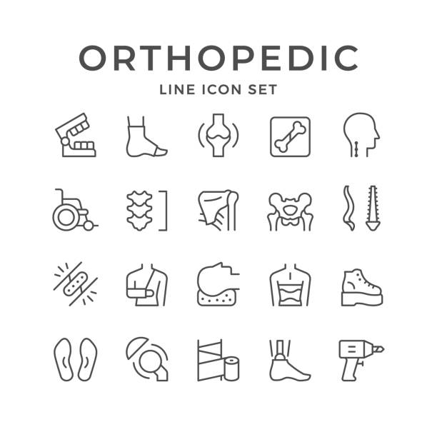 illustrazioni stock, clip art, cartoni animati e icone di tendenza di impostare le icone delle linee di ortopedico - ortopedico