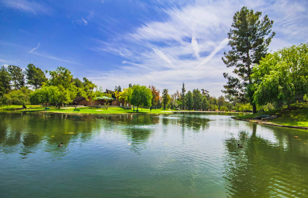 istock Earnest fishing. 1151387411
