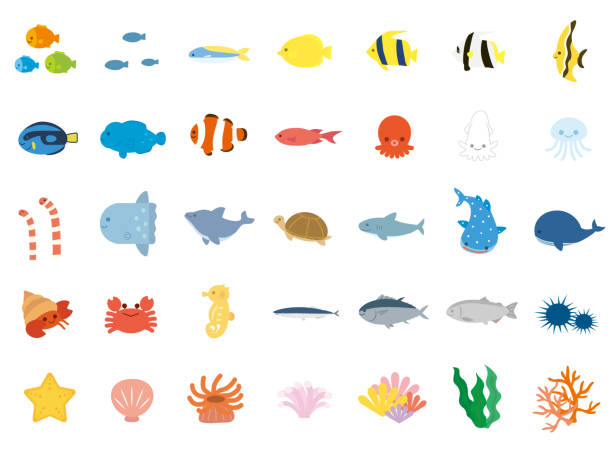 ilustraciones, imágenes clip art, dibujos animados e iconos de stock de sea animals4 - pez ilustraciones