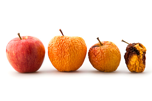 Evolution of apple decay