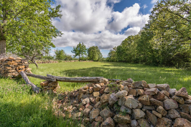 istock Rural scene on a farm in spring 1151390561