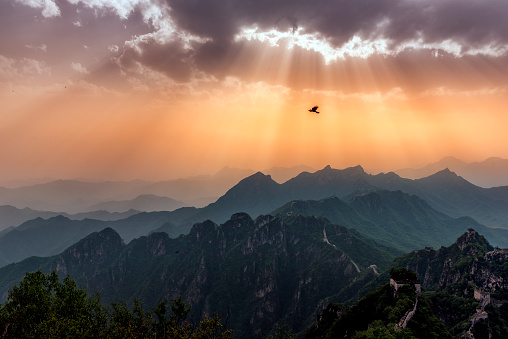 The majestic bird hovering over the Great Wall of China under a beautiful sky.