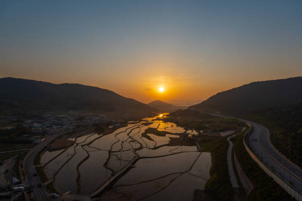 istock Terraced rice field in South Korea,Rice fields and reflection. 1151396336