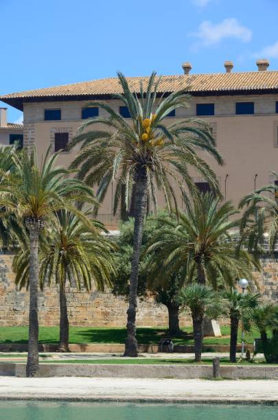 Palma de Mallorca - View of the Old Town buildings from the Paseo Dalt Murada