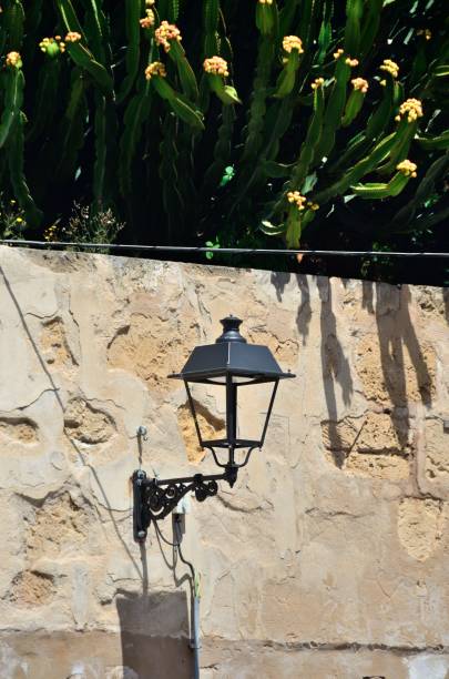 istock Palma de Mallorca - Paseo Dalt Murada 1151399177