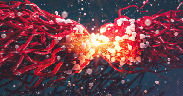 dzielenie cancer cell oncology research concept 3d ilustracja białek z edycji genów limfocytów, limfocytów t lub komórek nowotworowych, mejoza, mitozy - dna genetic research medicine therapy zdjęcia i obrazy z banku zdjęć