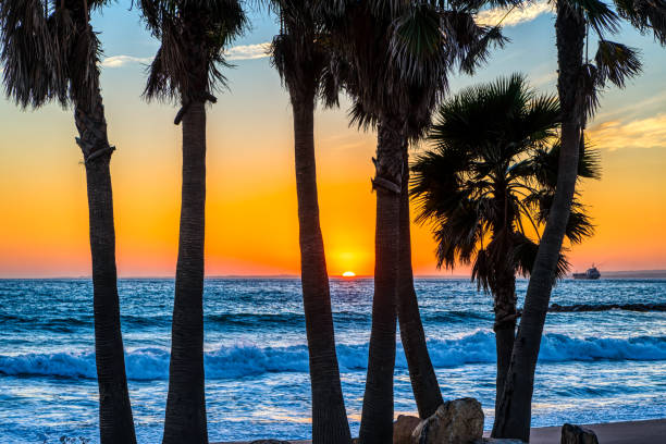 istock Beautiful sunset sunrise on the beach with palm trees, blue ocean. 1151402700