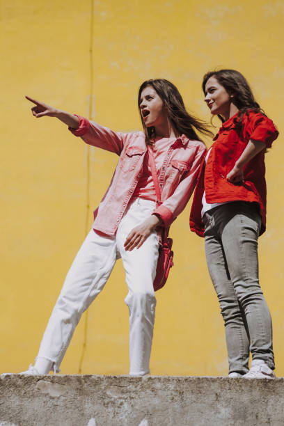 istock Two hipster girls looking far away on parapet 1151404898